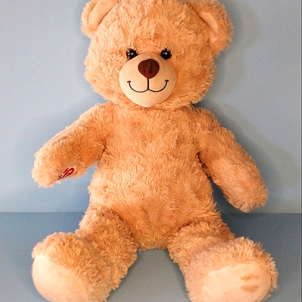 Teddy Bear Plushie